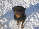 Abbey :-)