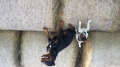 20150916_085757.jpg