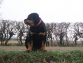 soudek_2-3-2012_029.jpg