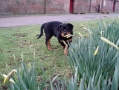 soudek_2-3-2012_031.jpg