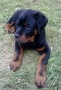 wp_20130627_012.jpg