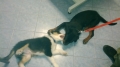 wp_20130628_002.jpg