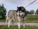 Athos