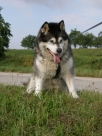 Athos
