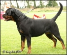 Dagie Lib-Vach