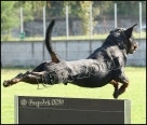 IFR IPO World Championship 2011