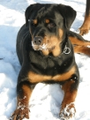Leden 2010, Kunice