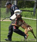 VS na MS FCI – TOP 15, Krchleby, 21. 5. 2011
