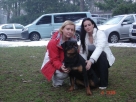 Honey Taffy Rotti Kingdom